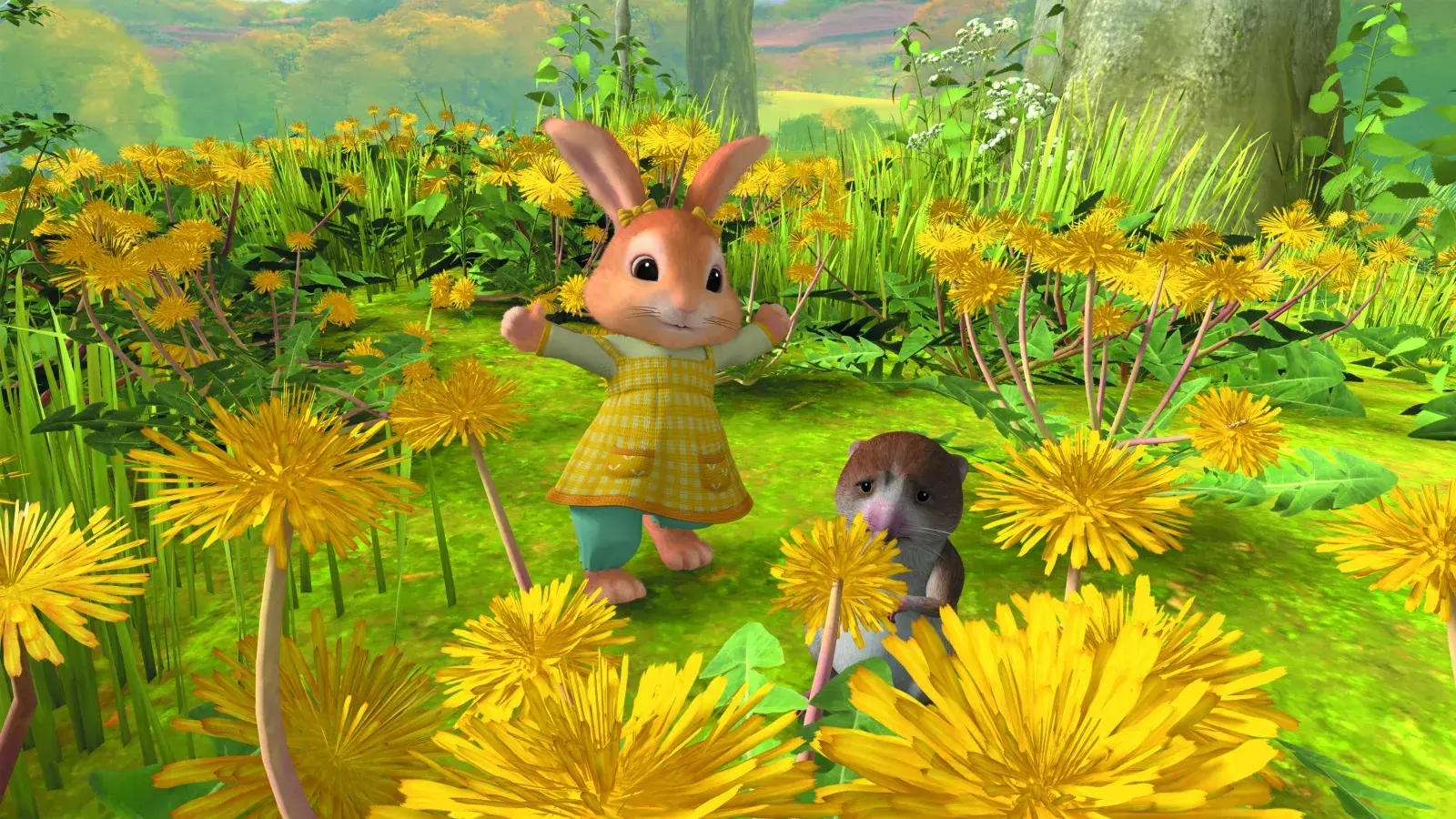 A field of dandelions