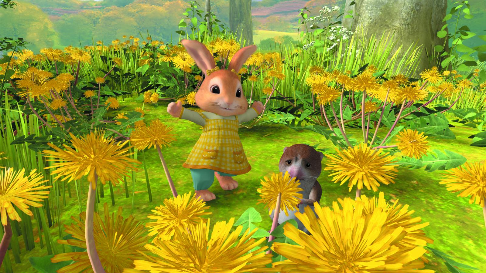 A field of dandelions